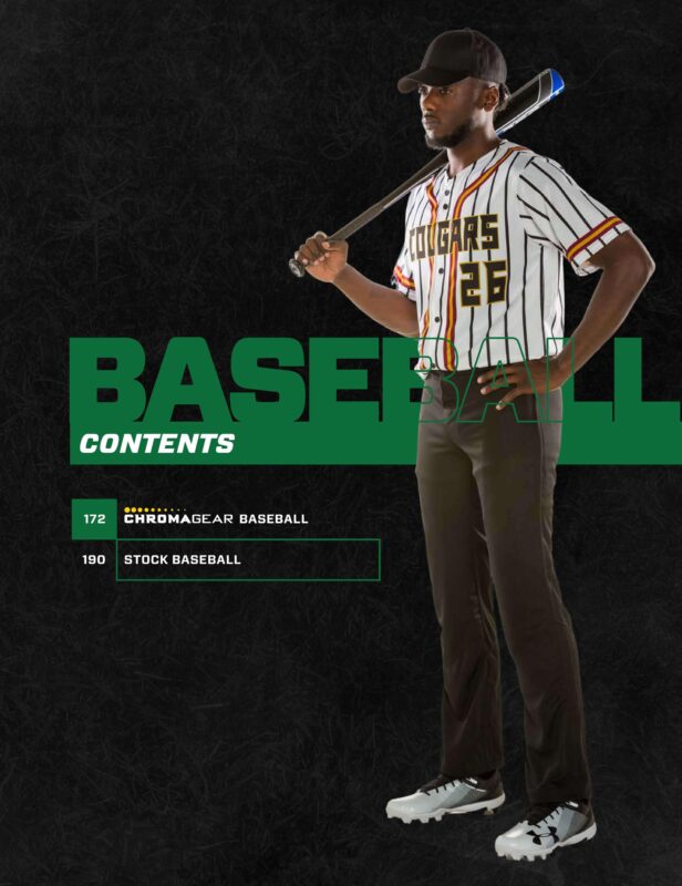 Alleson Athletic Baseball and Softball Fastpitch Catalog 2017 by LTS -  Legacy Team Sales - Issuu